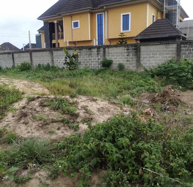 Salary Package (Basic)