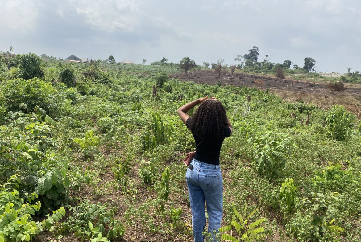 Mercy Springs Estate - Iguosula Community - Upper Siluko - Image 2
