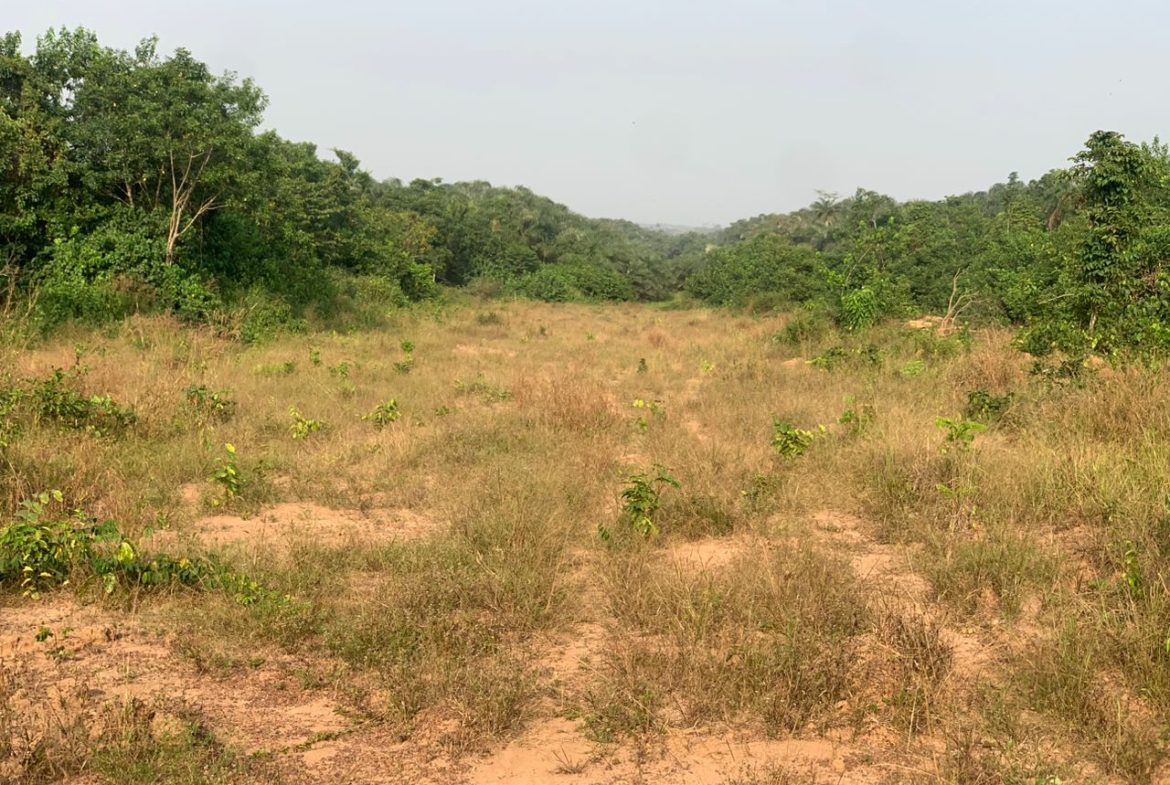 Paradigm Estates - Image 2